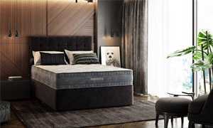 Category Mammoth Excel Hybrid Mattress Collection image